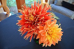 EVERGREEN SCHOOL SOCIAL